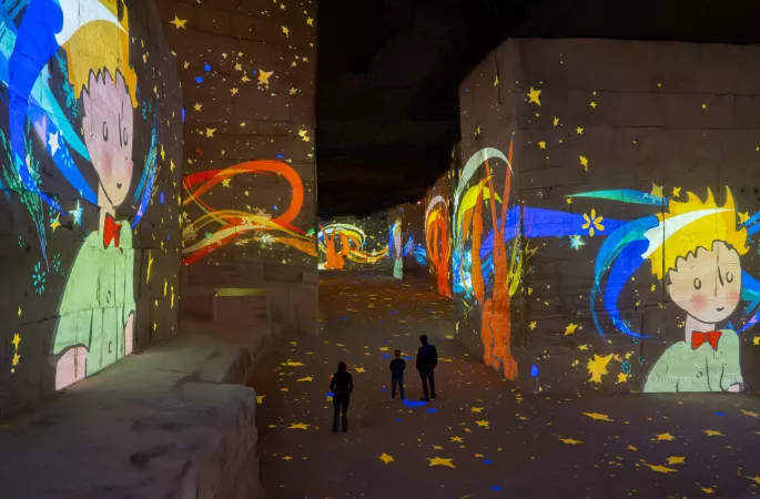 petit prince projection carrières