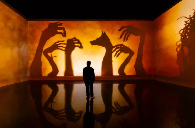 projection ombres mains silhouettes