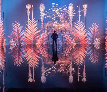 silhouette exposition immersive plantes roses