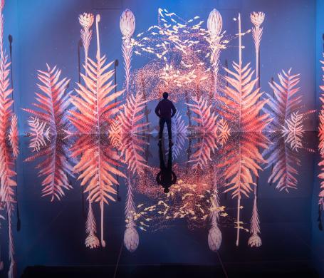 silhouette exposition immersive plantes roses