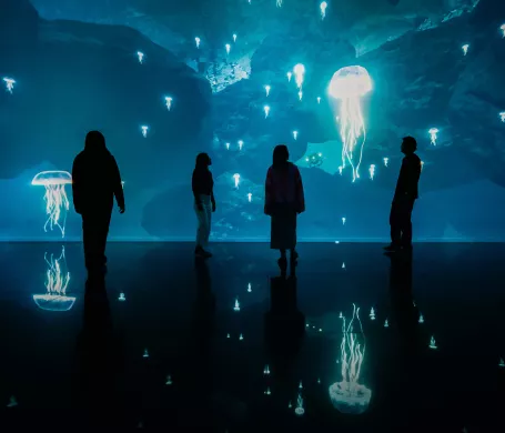 méduses projection fond bleu