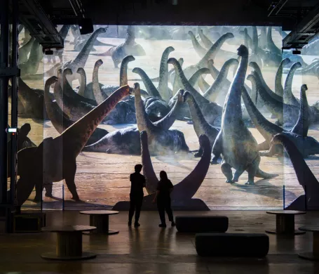 dinosaures projection silhouettes