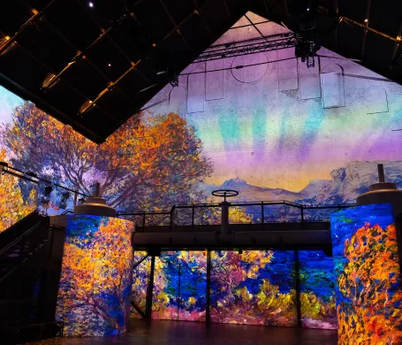 monet projection mur couleurs