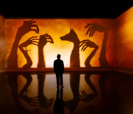 projection ombres mains silhouettes